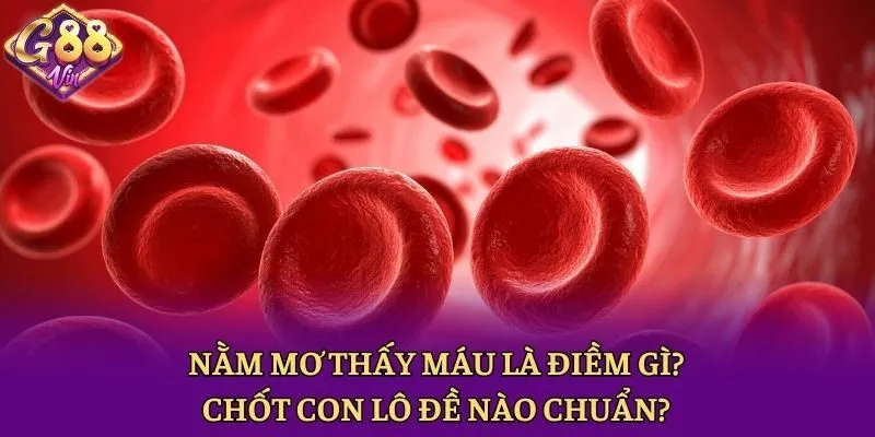 Nằm Mơ Thấy Máu Là Điềm Gì? Chốt Con Lô Đề Nào Chuẩn?